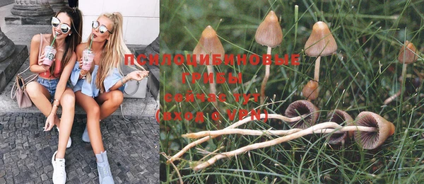 PSILOCYBIN Абдулино