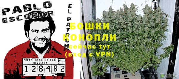 PSILOCYBIN Абдулино