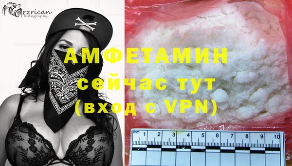 индика Коряжма