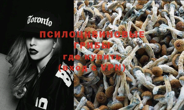 PSILOCYBIN Абдулино