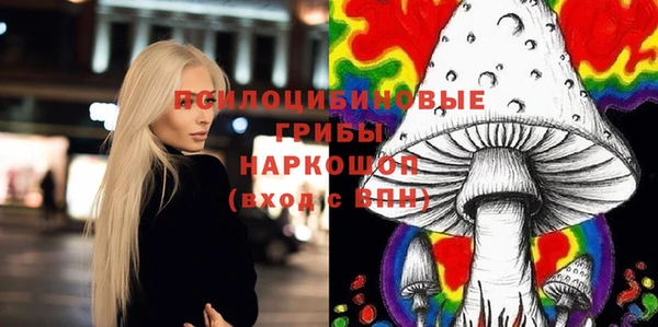 Альфа ПВП Абаза