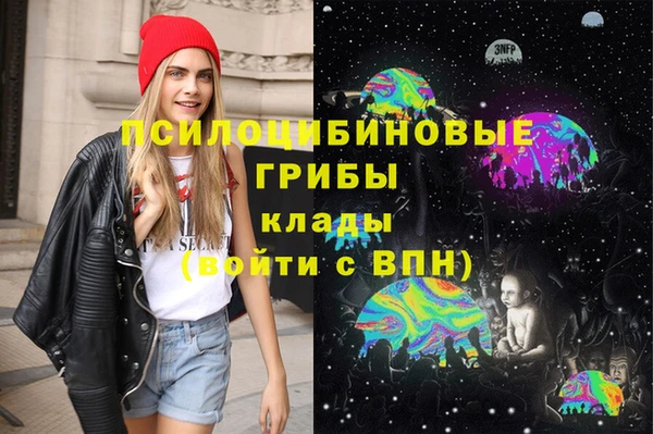 PSILOCYBIN Абдулино