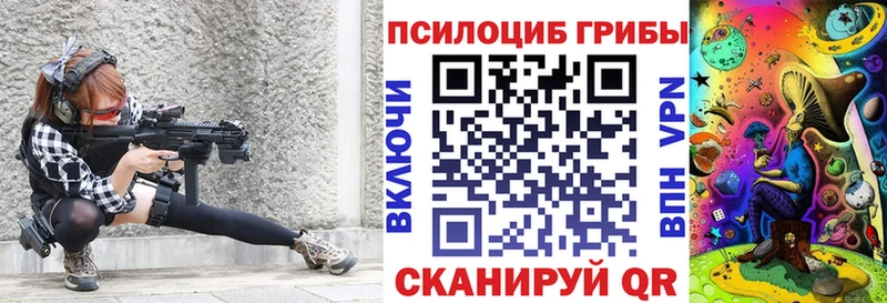 Псилоцибиновые грибы Cubensis кракен вход Нестеровская даркнет сайт