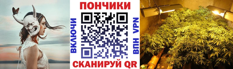 Бошки марихуана ГИДРОПОН  Нестеровская 